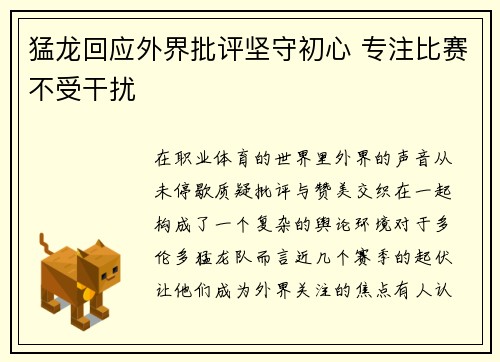 猛龙回应外界批评坚守初心 专注比赛不受干扰